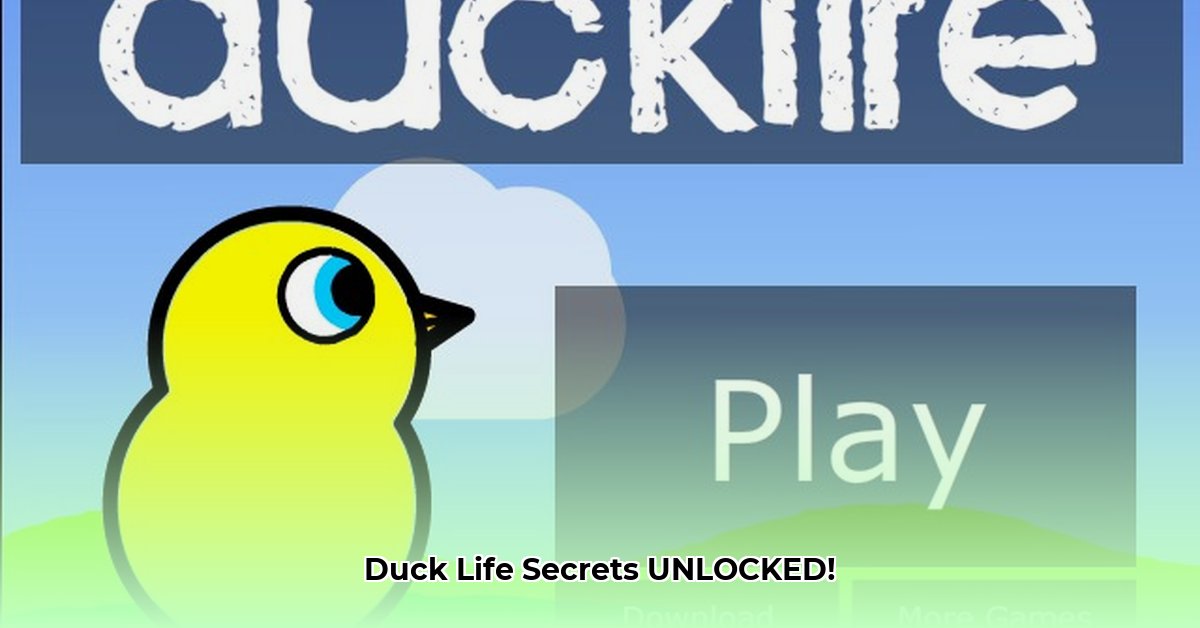 hack-duck-life